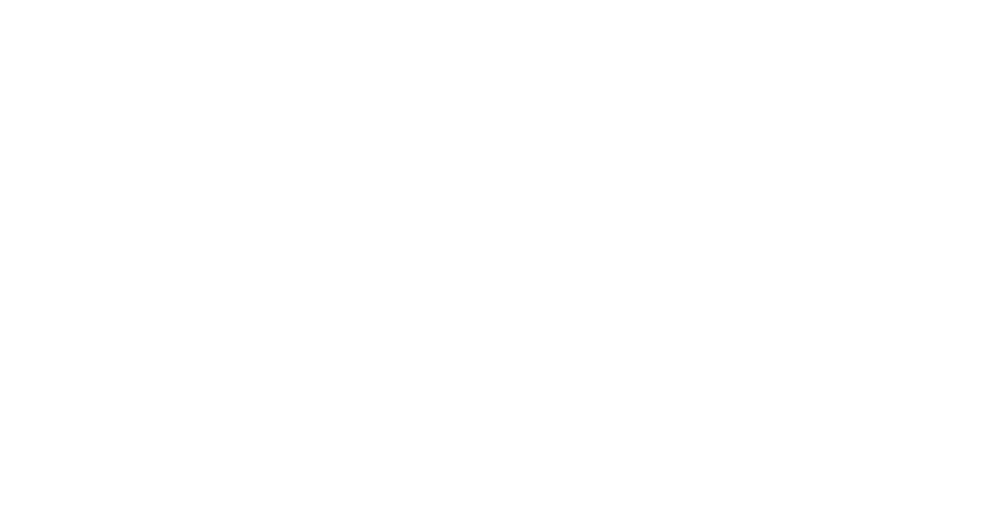 Logo NAVA Engineering, client team building de NX Paintball